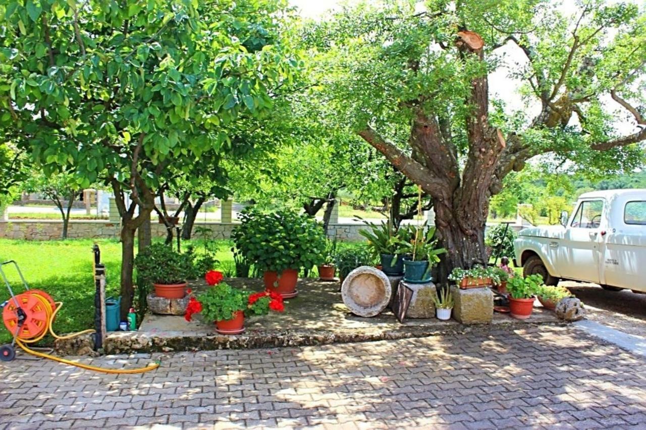 Apartmán Palmira Poreč Exteriér fotografie