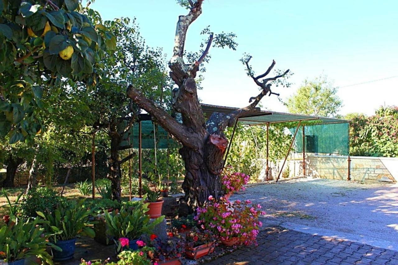Apartmán Palmira Poreč Exteriér fotografie